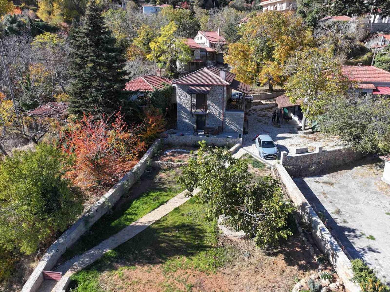 Νόστος Villa Ano Trikala Ngoại thất bức ảnh